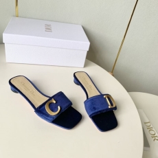 Christian Dior Slippers